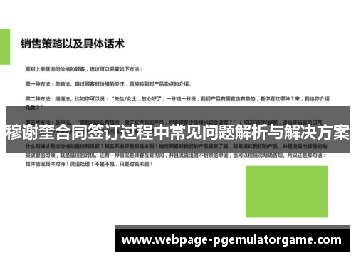 穆谢奎合同签订过程中常见问题解析与解决方案