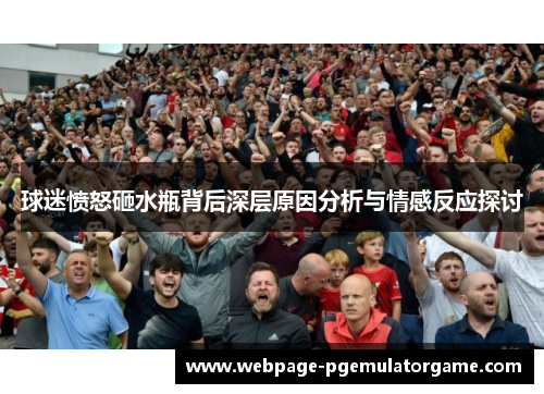 球迷愤怒砸水瓶背后深层原因分析与情感反应探讨