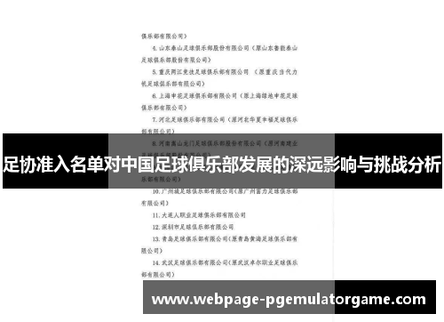 足协准入名单对中国足球俱乐部发展的深远影响与挑战分析