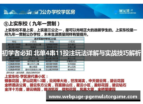 初学者必知 北单4串11投注玩法详解与实战技巧解析