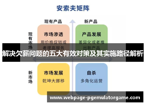 解决欠薪问题的五大有效对策及其实施路径解析 解决欠薪问题的五大有效对策及其实施路径解析