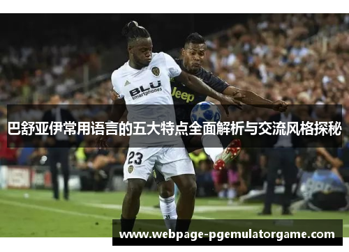 巴舒亚伊常用语言的五大特点全面解析与交流风格探秘